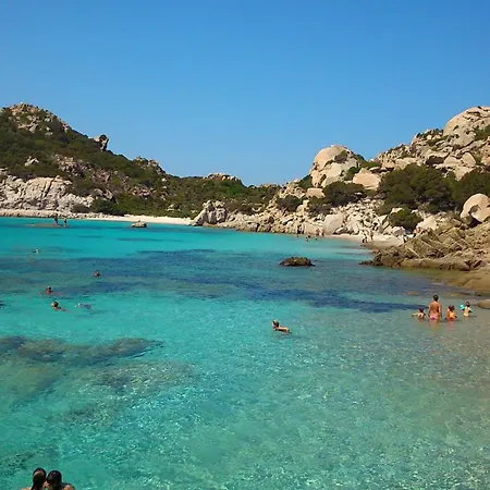 In The Area Of Olbia