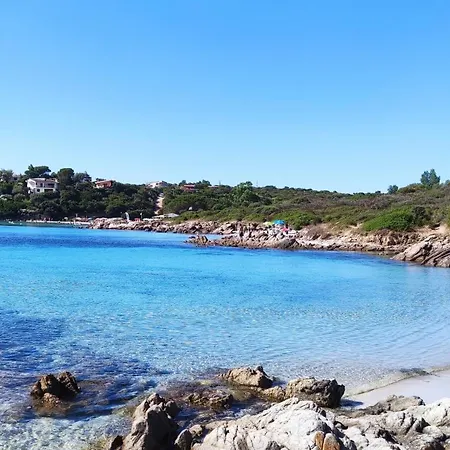 In The Area Of Appartement *