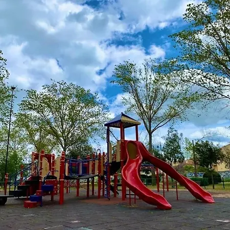 In The Area Of Appartement