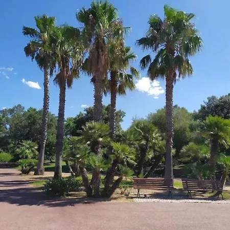 In The Area Of * Olbia