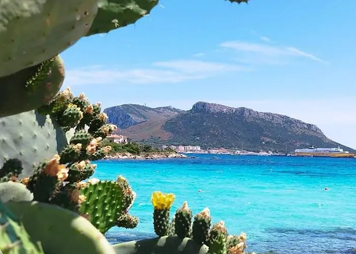 Appartement In The Area Of