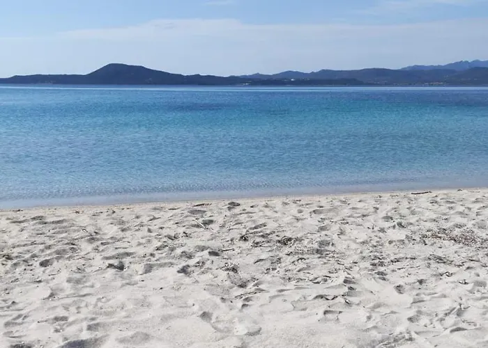 In The Area Of * Olbia