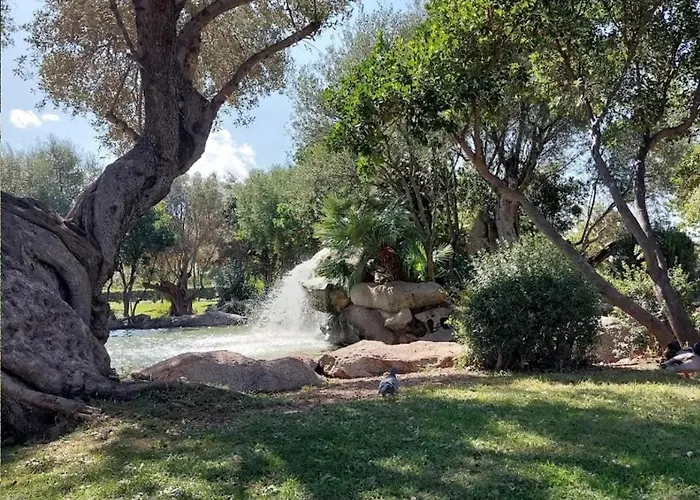 In The Area Of Olbia