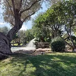 In The Area Of Olbia