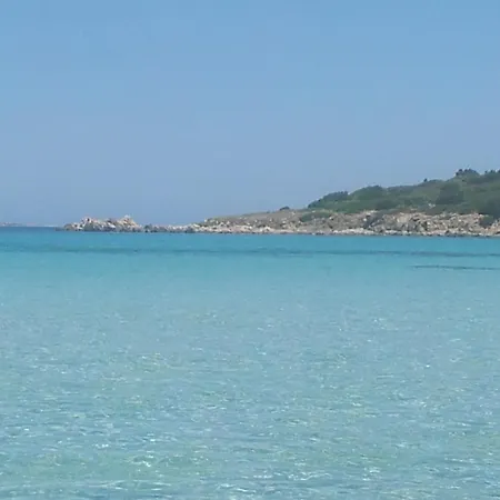 In The Area Of Appartamento *