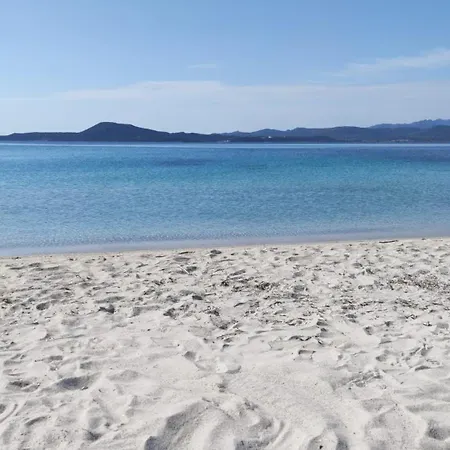 In The Area Of * Olbia