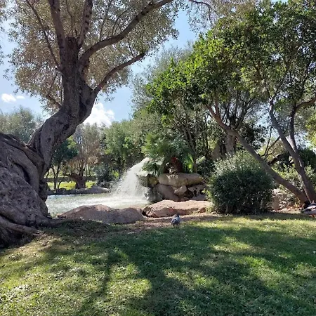 In The Area Of Olbia