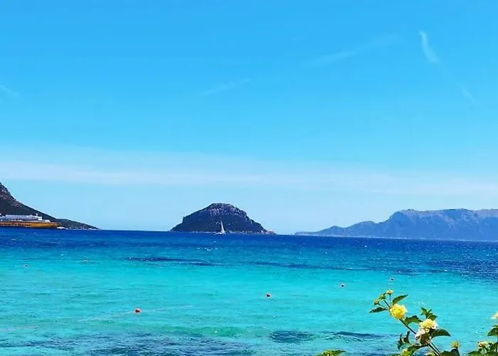 In The Area Of Appartamento