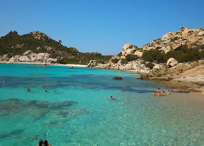 In The Area Of Olbia