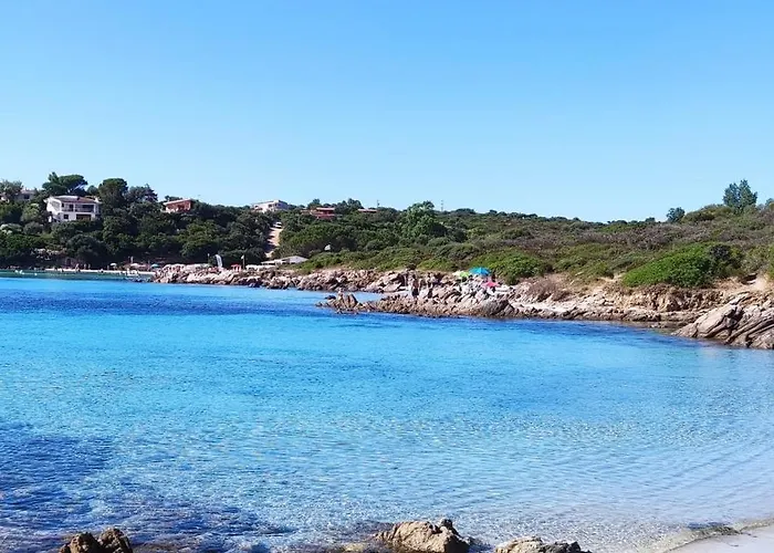 In The Area Of Apartment *