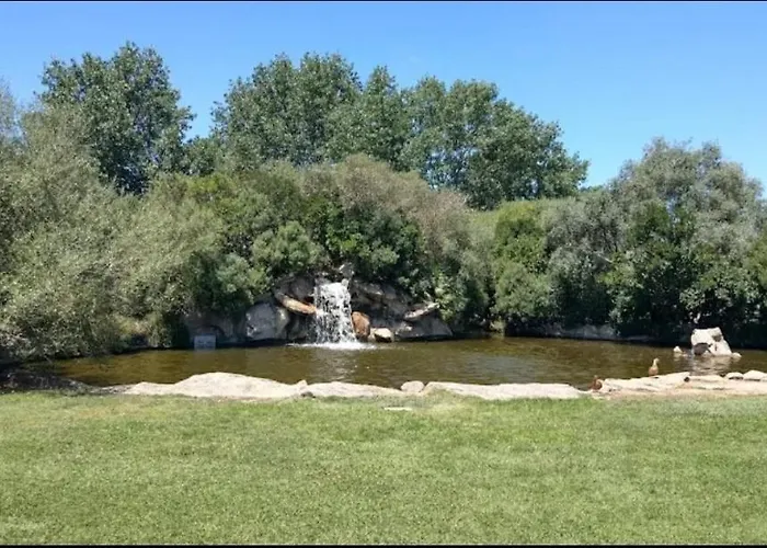 In The Area Of Appartamento *