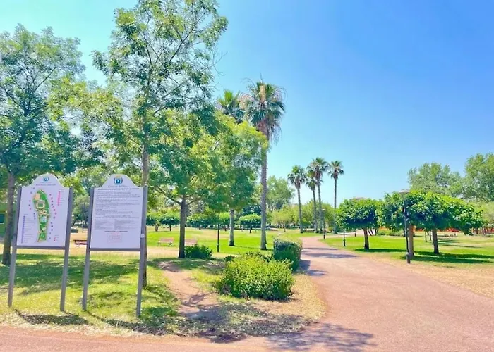 In The Area Of Appartamento