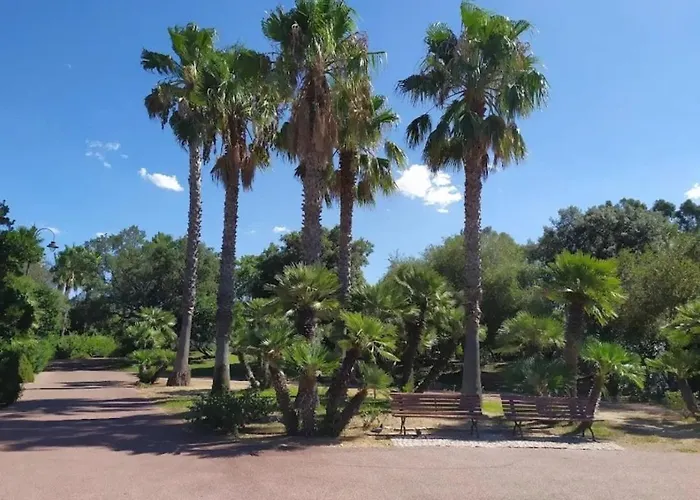 In The Area Of * Olbia